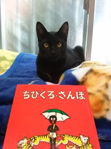 さんぼ です 大阪摂津市のおかもと動物病院は地域に密着した一次診療施設です 大阪摂津市の動物病院